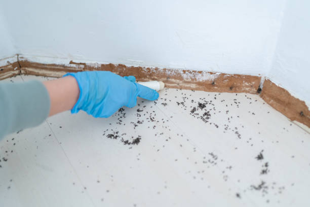 Best Exterminator Services  in Pompton Lakes, NJ